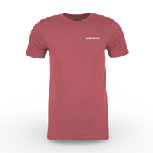 Load image into Gallery viewer, OnieTonie™ T-Shirt 'Buzzin' The Beach'